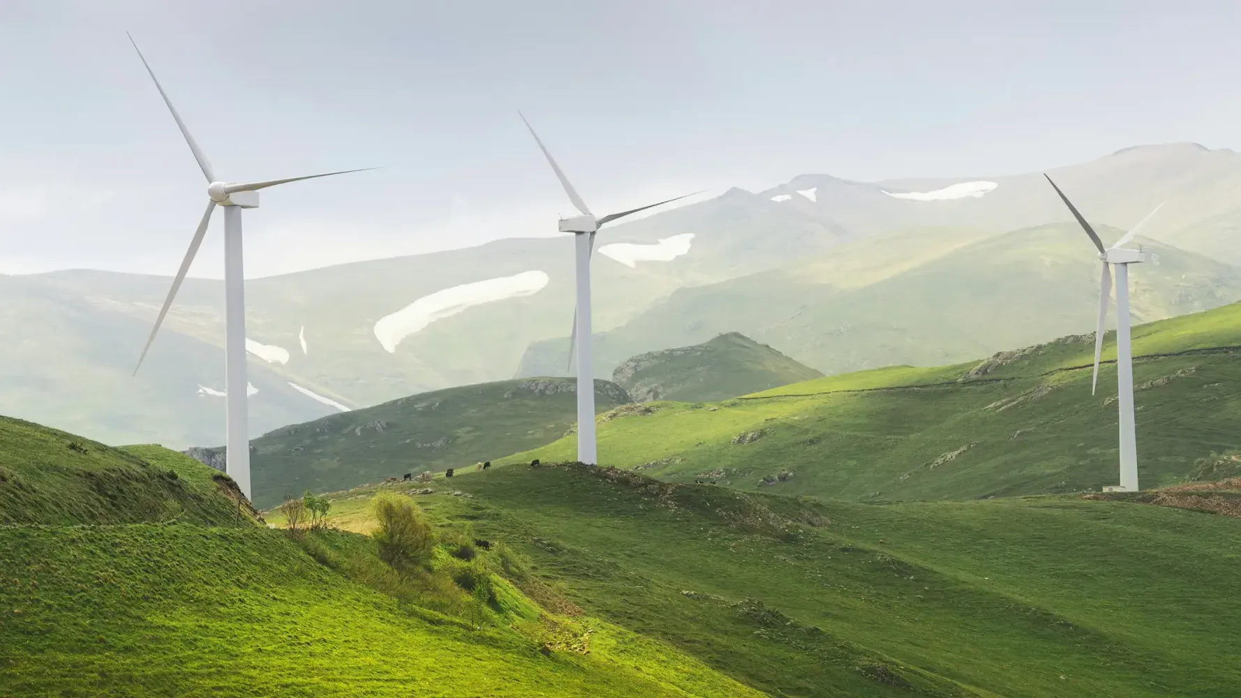 RWA Tokenization in the Energy Sector: Trends + Outlook 2026