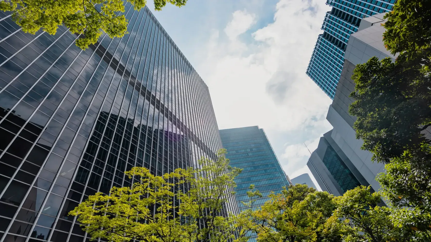 Modern office skyscrapers rising above green trees, blending urban and natural elements.