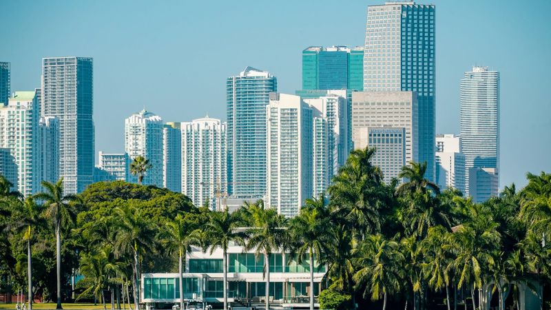 Green trees near city buildings during daytime