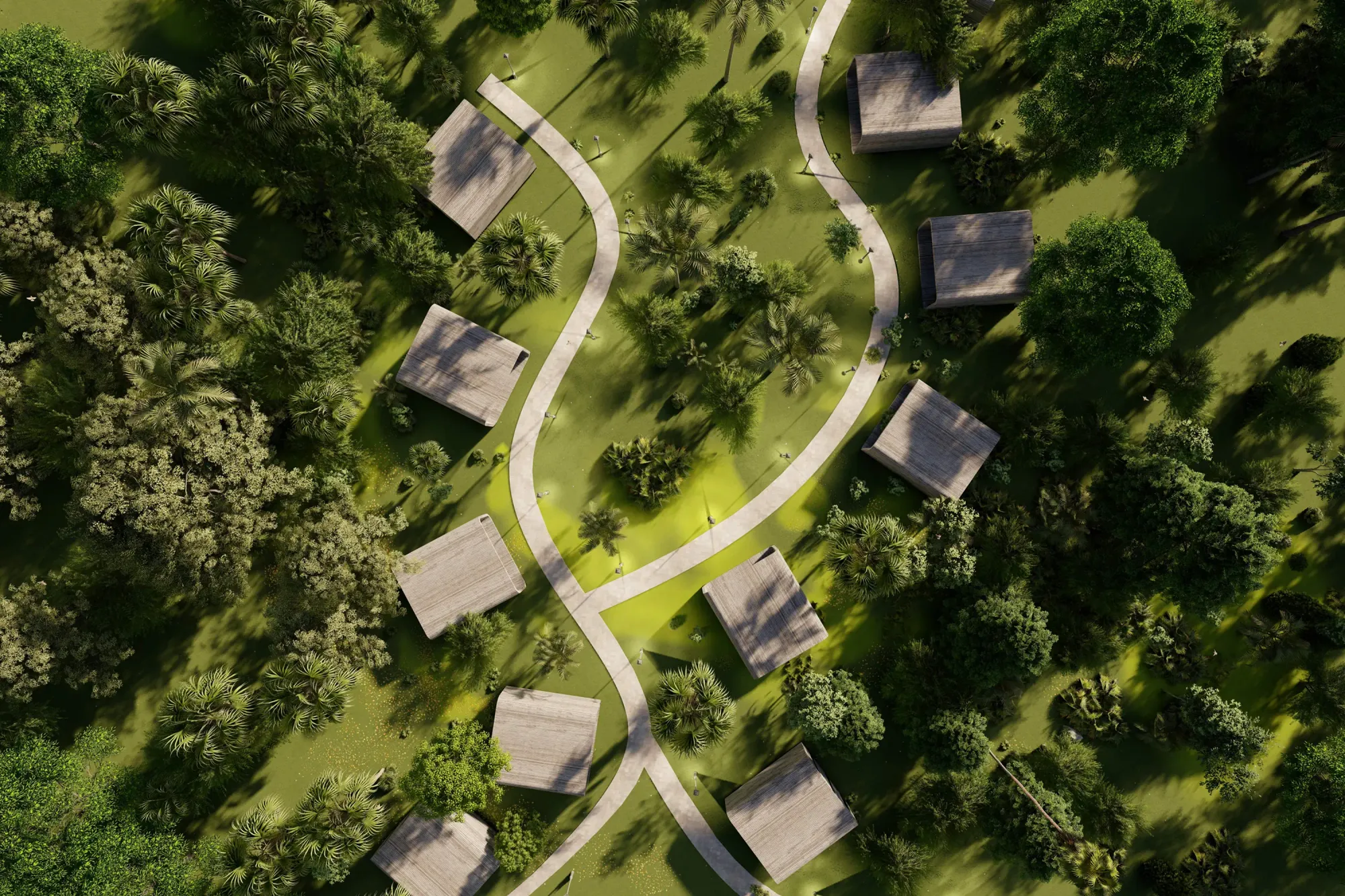 houses among the green grove