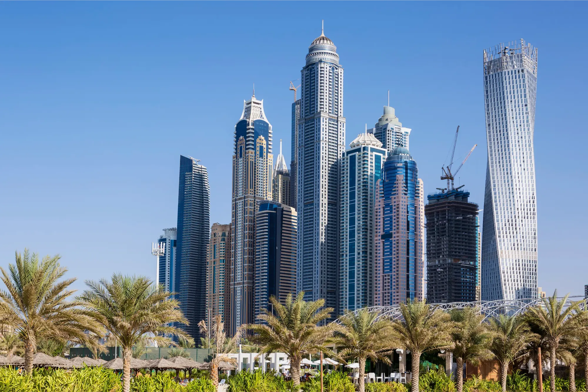 Skyscrapers Palm Trees Dubai UAE