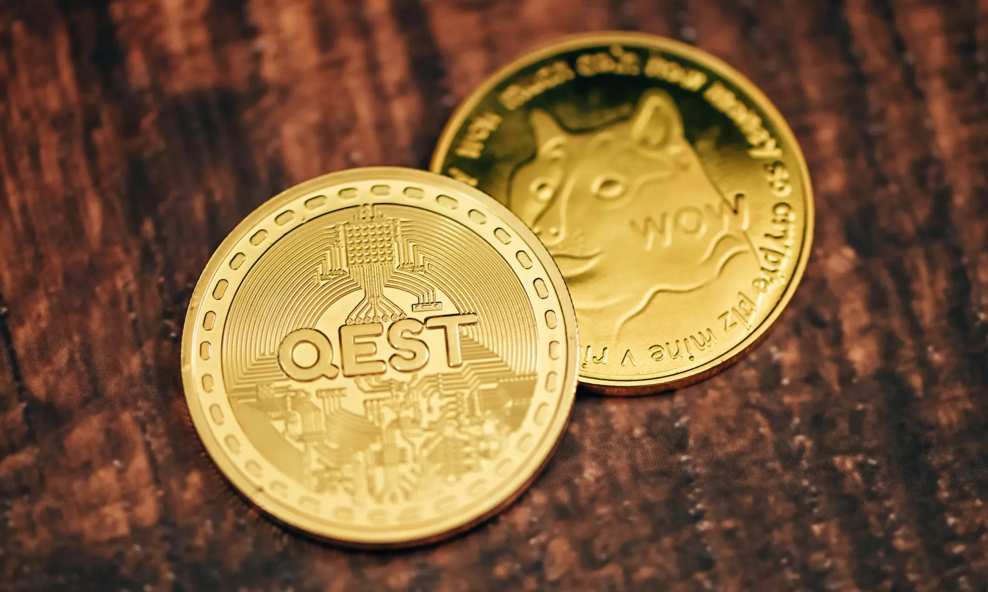Two golden cryptocurrency coins, one with “QEST” text and another showing the Dogecoin logo.