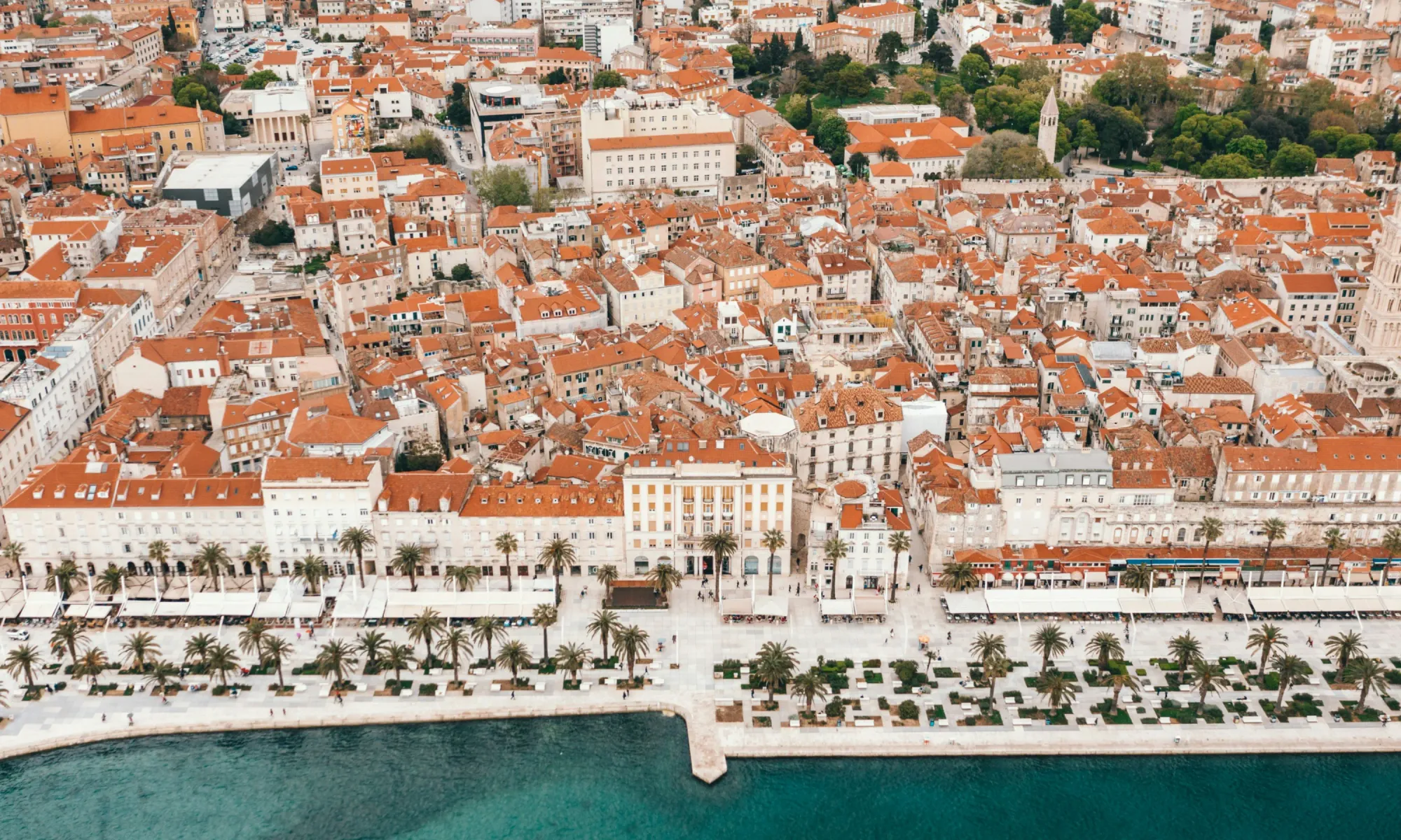 Aerial view of Split’s historic old town in Croatia, with terracotta rooftops and a seaside promenade lined with palm trees.